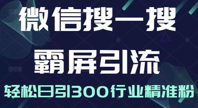 微信搜一搜霸屏引流课，打造被动精准引流系统，轻松日引300行业精准粉【无水印】