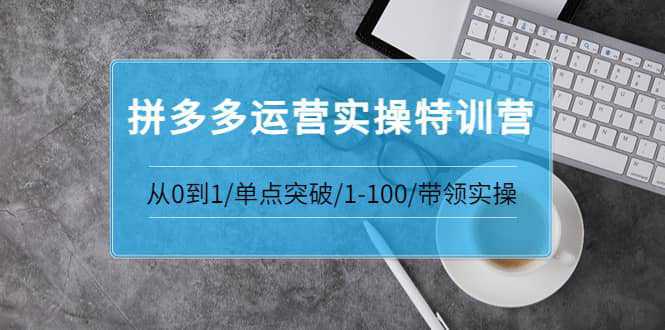 青云:拼多多运营实操特训营：从0到1/单点突破/1-100/带领实操 价值2980元