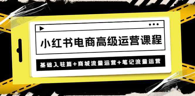 小红书电商高级运营课程：基础入驻篇 商城流量运营 笔记流量运营