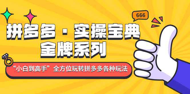 拼多多·实操宝典：金牌系列“小白到高手”带你全方位玩转拼多多各种玩法