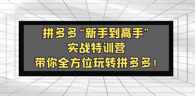 拼多多“新手到高手”实战特训营：带你全方位玩转拼多多