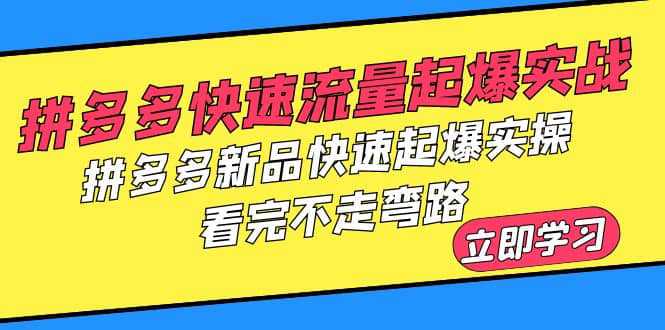 拼多多-快速流量起爆实战，拼多多新品快速起爆实操，看完不走弯路