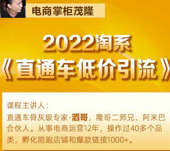 茂隆2022直通车低价引流玩法，教大家如何低投入高回报的直通车玩法