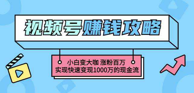 玩转微信视频号赚钱：小白变大咖涨粉百万实现快速变现1000万的现金流