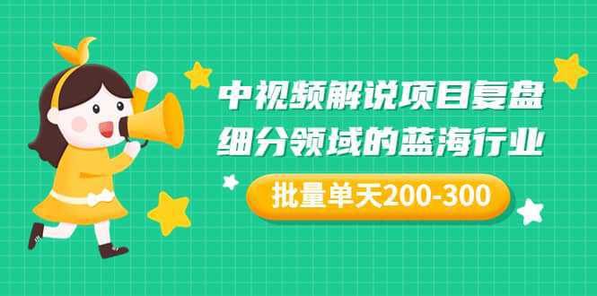 某付费文章：中视频解说项目复盘：细分领域的蓝海行业 批量单天200-300收益