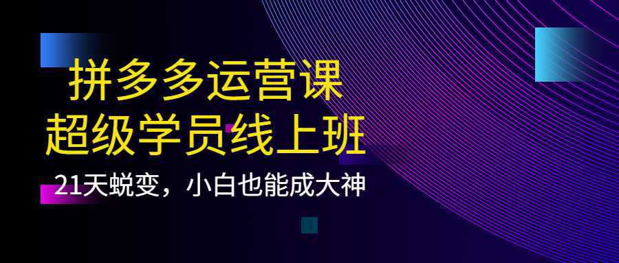 拼多多运营课：超级学员线上班，21天蜕变，小白也能成大神