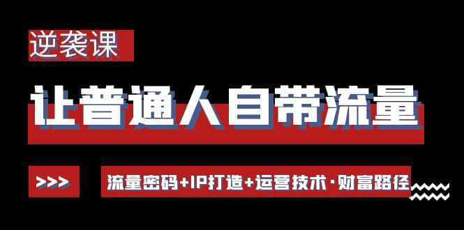 让普通人自带流量的逆袭课：流量密码 IP打造 运营技术·财富路径