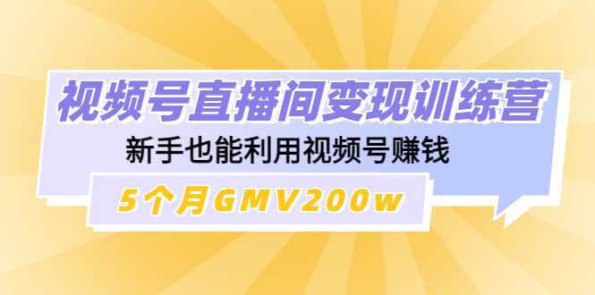 视频号直播间变现训练营