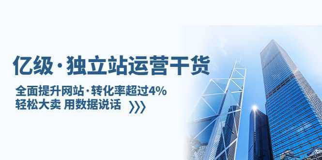 独立站运营干货：全面提升网站·转化率超过4%，轻松大卖 用数据说话