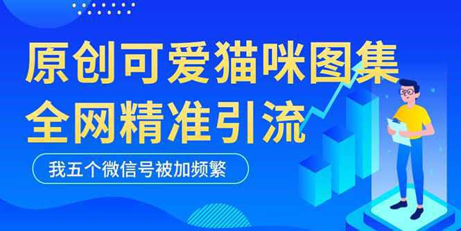 黑科技纯原创可爱猫咪图片，全网精准引流，实操5个VX号被加频繁