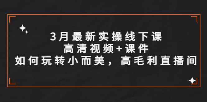 3月最新实操线下课高清视频 课件，如何玩转小而美，高毛利直播间