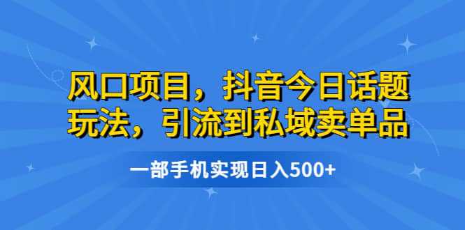 风口项目，抖音今日话题玩法，引流到私域卖单品，一部手机实现日入500