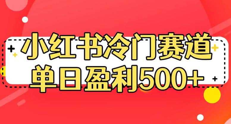 小红书冷门赛道，单日盈利500 【揭秘】