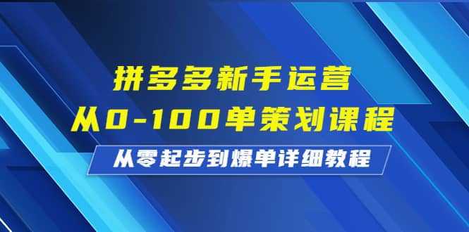 拼多多新手运营从0-100单策划课程，从零起步到爆单详细教程