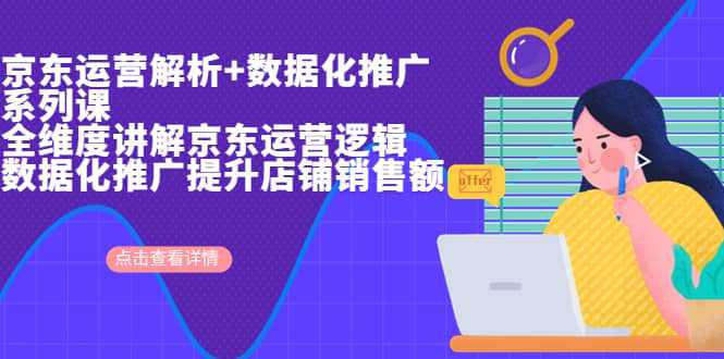 京东运营解析与数据化推广系列课，全维度讲解京东运营逻辑 数据化推广提升店铺销售额