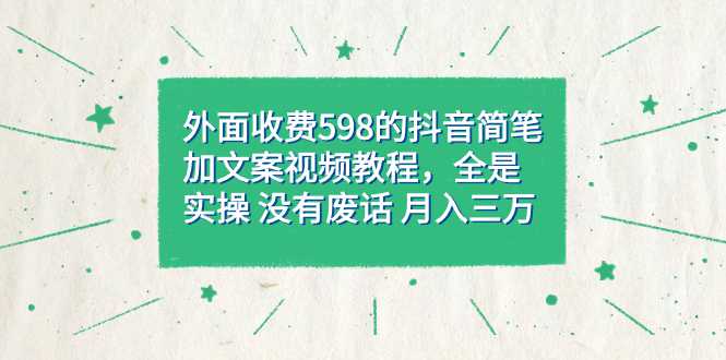 外面收费598抖音简笔加文案教程，全是实操 没有废话 月入三万（教程 资料）