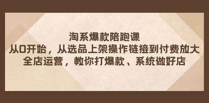 淘系爆款陪跑课 从选品上架操作链接到付费放大 全店运营 打爆款 系统做好店