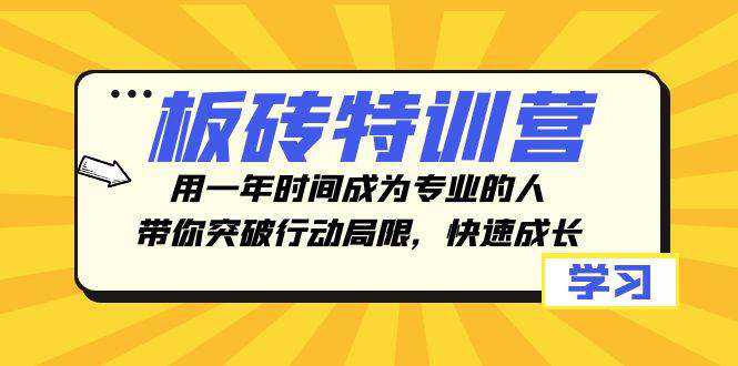 板砖特训营，用一年时间成为专业的人，带你突破行动局限，快速成长