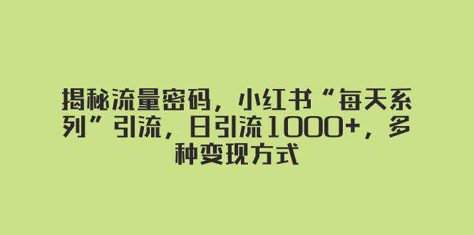 揭秘流量密码，小红书“每天系列”引流，日引流1000 ，多种变现方式