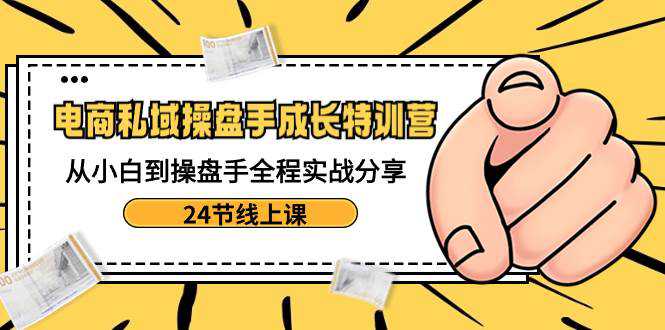 电商私域-操盘手成长特训营：从小白到操盘手全程实战分享-24节线上课