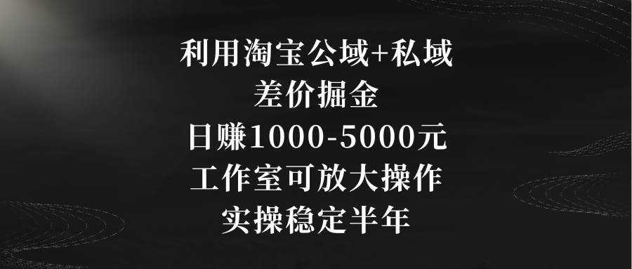 利用淘宝公域+私域差价掘金，日赚1000-5000元，工作室可放大操作，实操...