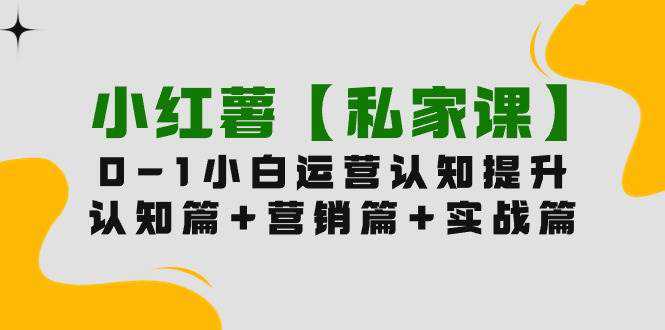 小红薯【私家课】0-1玩赚小红书内容营销，认知篇+营销篇+实战篇（11节课）